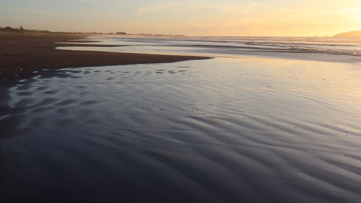 Peka Peka Cabin | Cosy pods, 2 minutes walk from beach - pet friendly!