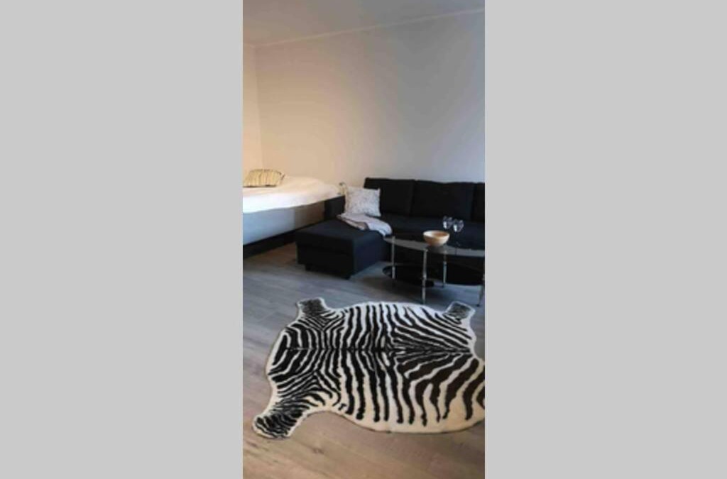 Hameenkyla Apartment | Cosy studio near by AirPort, 2min from train!