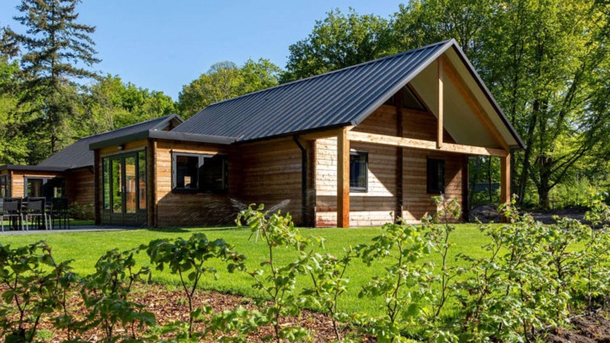 Zon en Schild House | Cosy wooden house amid woods in Soesterberg