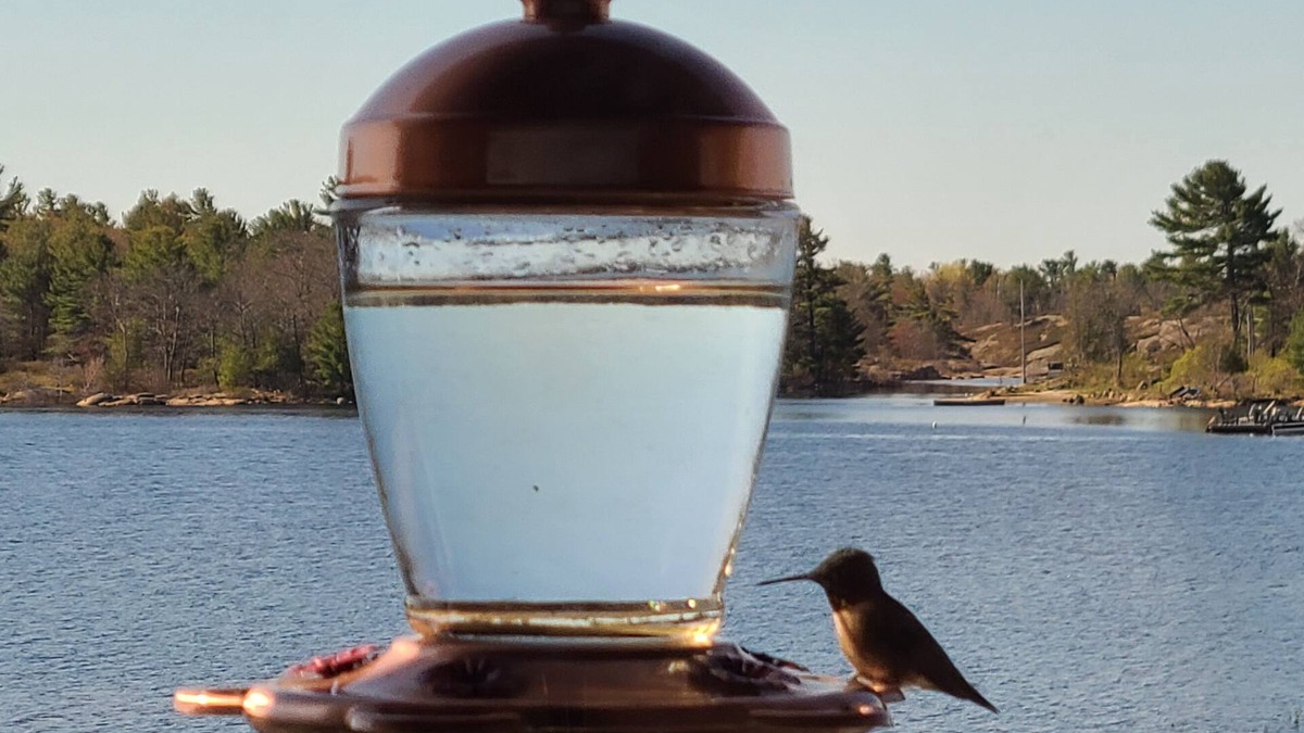 Carling Cabin | Cottage #5 - 3 Bedroom at Katawoda Cottages