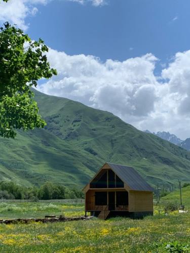 Kazbegi Apartment | Cottage AISI/კოტეჯი აისი