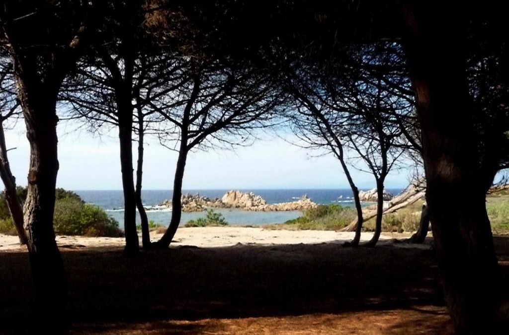 Canneddi Apartment | Cottage-Apartment In Rural Sardinia With Sun, Sea And Sand