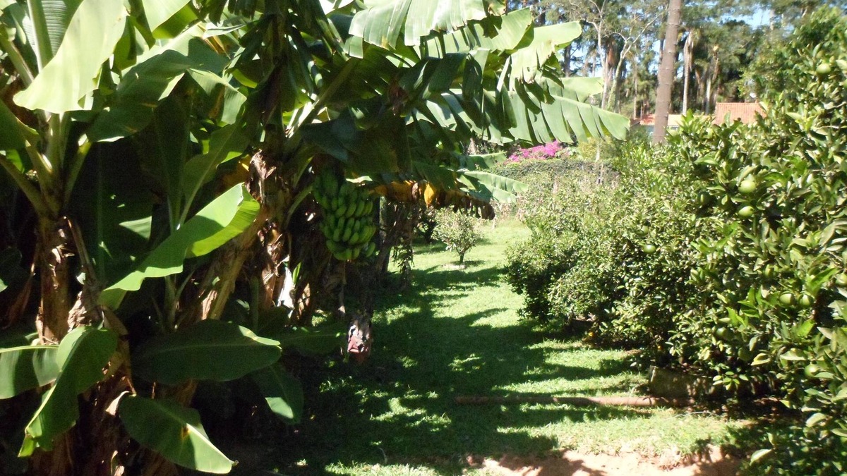 Vargem Grande Paulista House | Cottage for rent for WEEKENDS AND HOLIDAYS