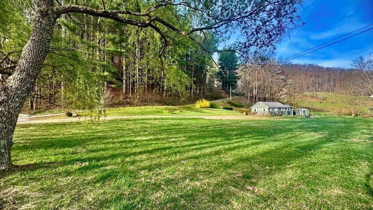 Burnsville Cottage | Cottage by the Creek, Fire Pit, Grill, 3 Mins to Town, WiFi, Pets Welcome!