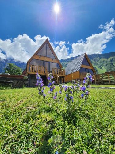 Gergeti Ski Chalet | Cottage Carpe Diem