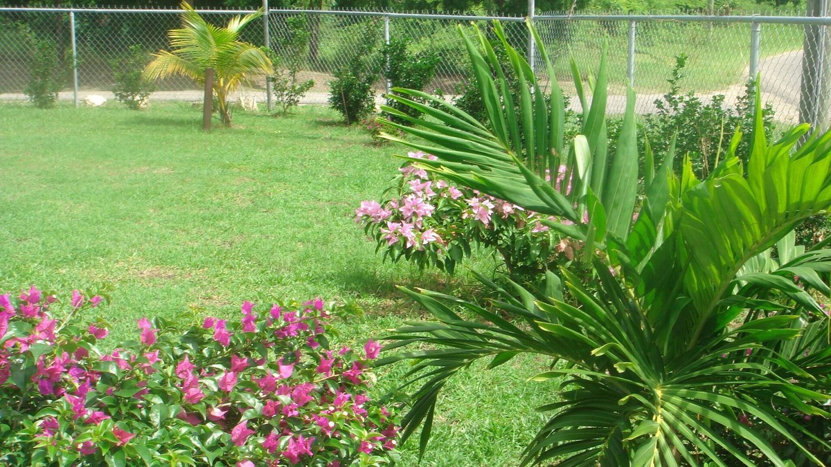 St. John's Cottage | Cottage for rent near Dickenson bay beach
