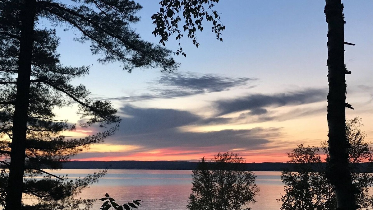 Bay View Cottage | Cottage in historic Bay View close to waterfront & walking trails