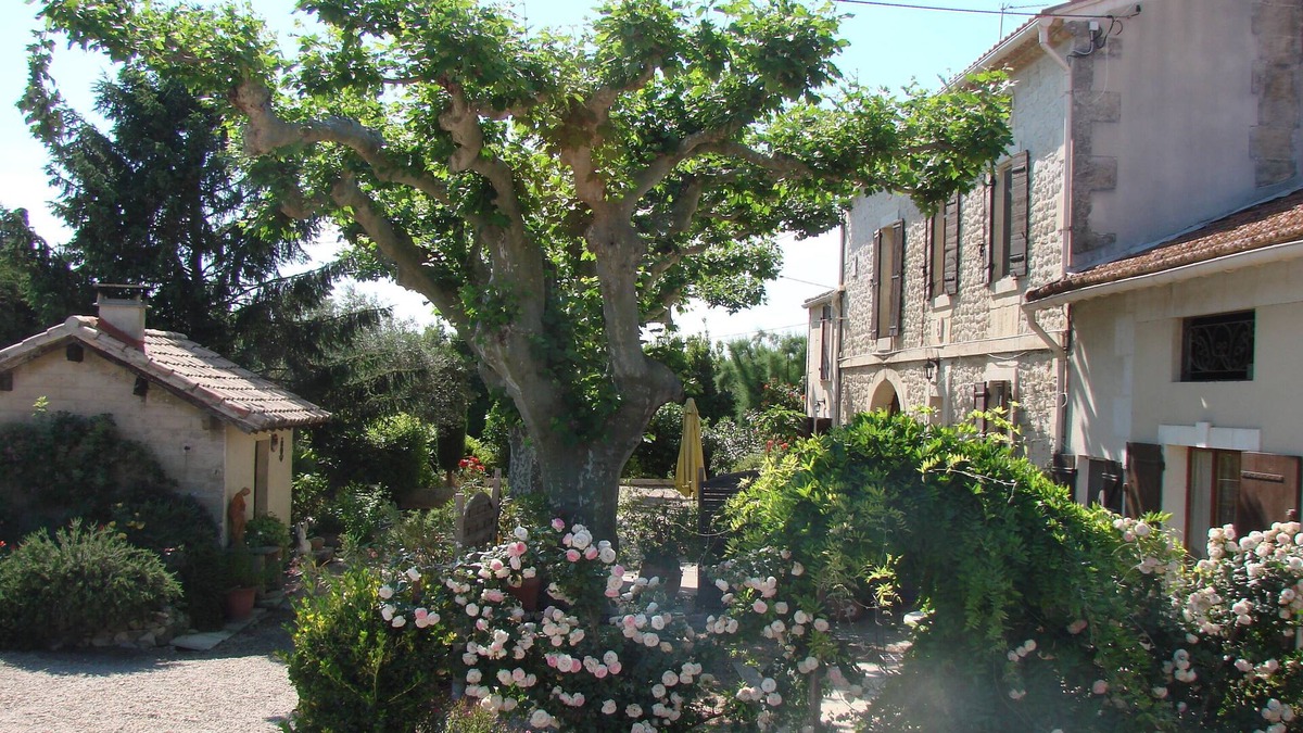 Tarascon House | Cottage in Provence adjoining a 19th Mas in Tarascon