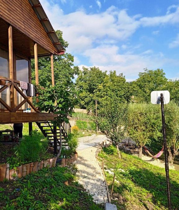 Ambrolauri Apartment | Cottage NANIDA