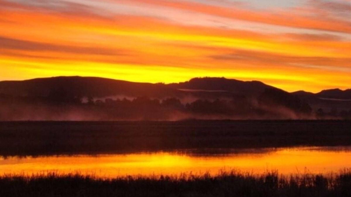 Point Reyes Station Cottage | Cottage on Inverness Bay!