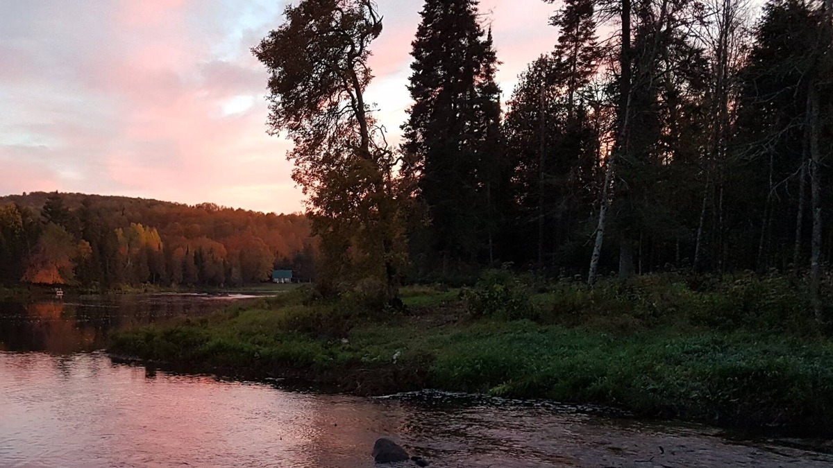 Greater Madawaska Cottage | Cottage on the Madawaska River, Griffith, ON - Nature At Your Doorstep
