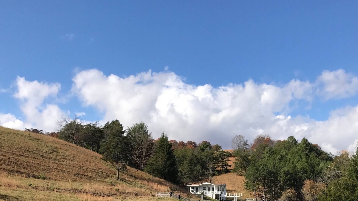 Millboro Springs Cottage | Cottage, Pool, 300 Acres of Blue Ridge Mountains.
