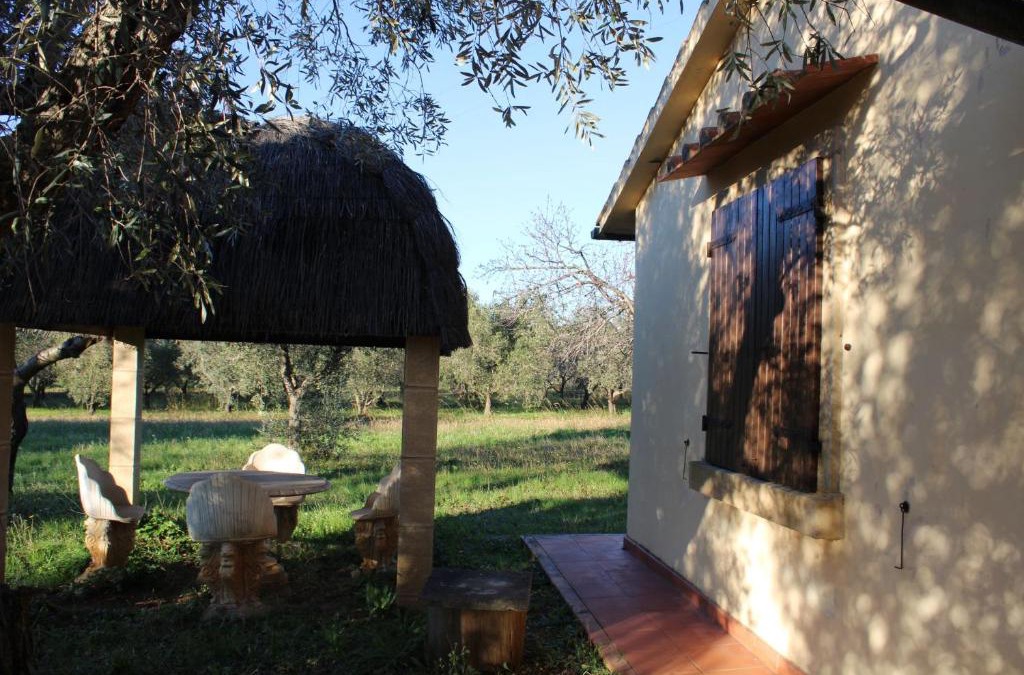Cecina House | Cottage with a great fenced garden in the Tuscan countryside