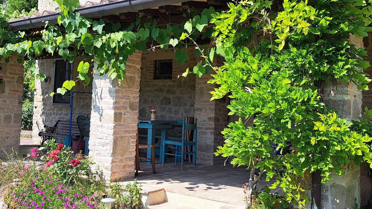 Umbertide House | Cottage with pool and veranda surrounded by olive trees.