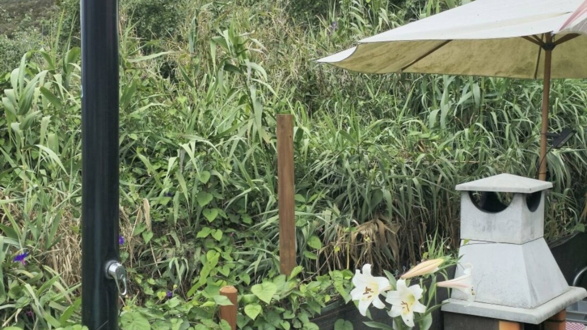 Los Portales Cottage | Cottage with private pool Pets allowed
