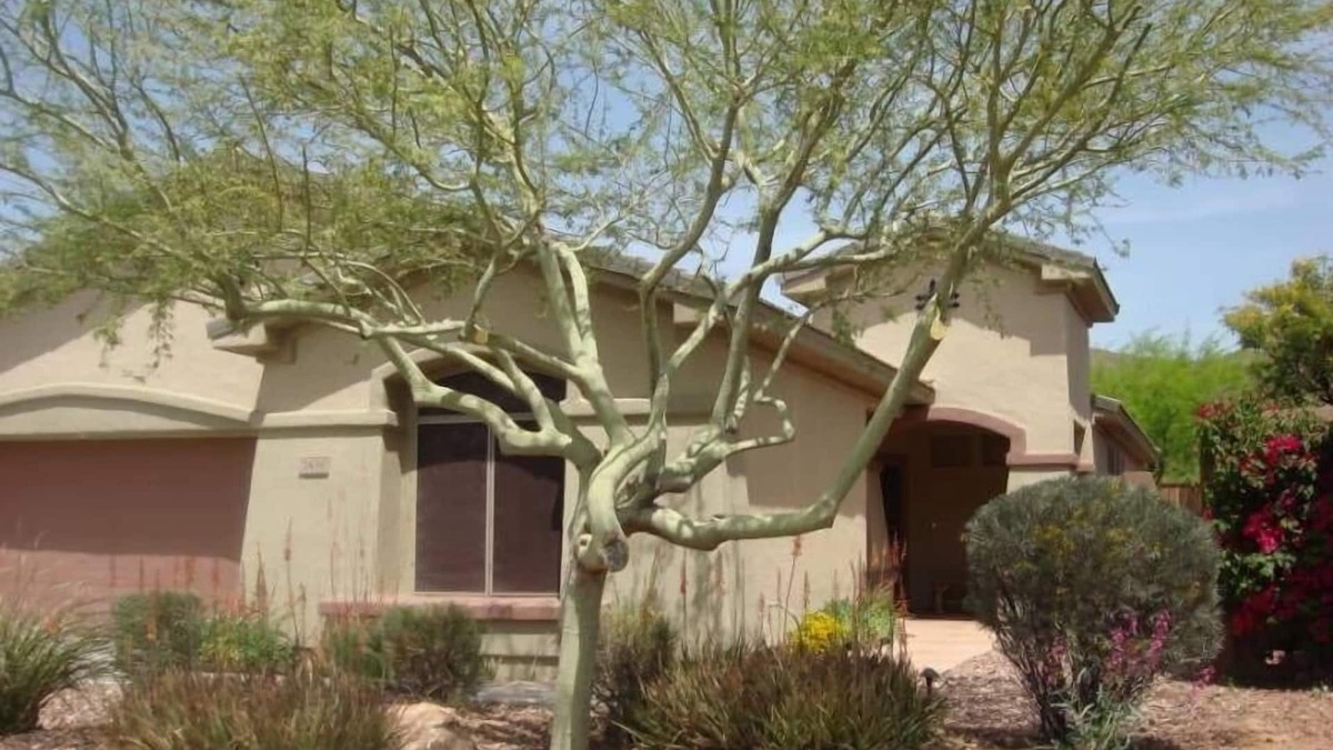 Anthem Country Club House | Country Club Home W/Beautiful Golf Course Views - Free Wifi!