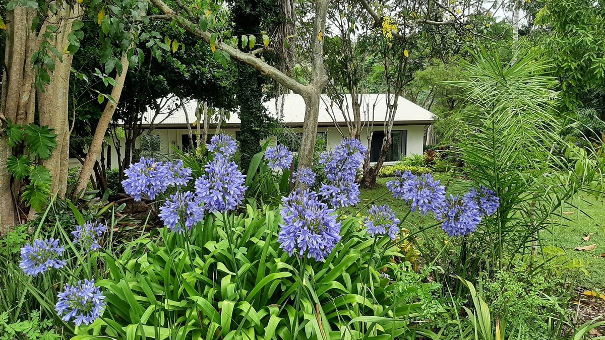 Imbil House | Country Cottage in Imbil (Mary Valley)