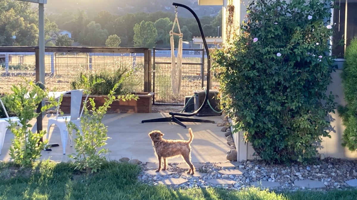 Atascadero Cottage | Country Get Away