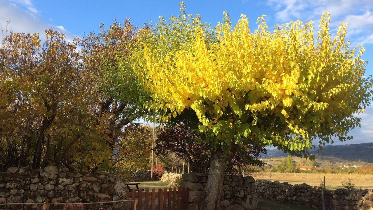 Ruisset Cottage | country holiday home - Colombier le vieux