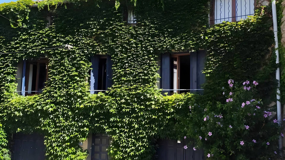 Laure-Minervois House | Country House 'Charming Village House'