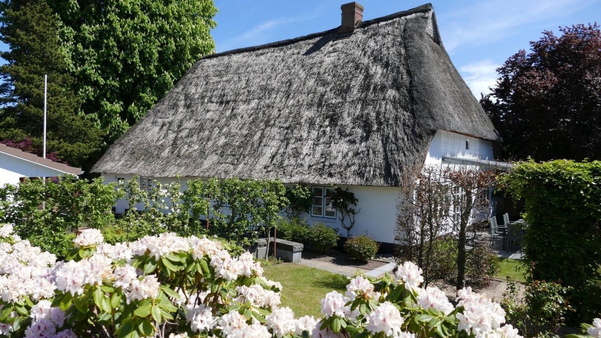 Kosel House | Country house to the old chestnut in Bohnert