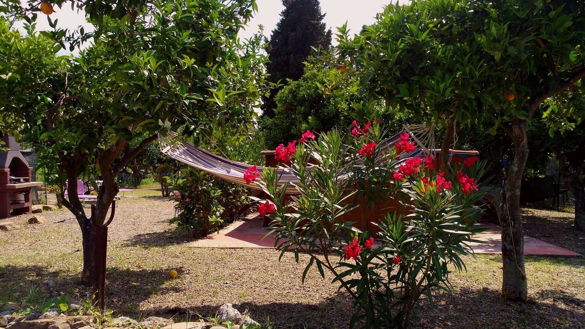 Patti Other | Country house surrounded by olives & lemons. Near the sea. Private boat trips bookable