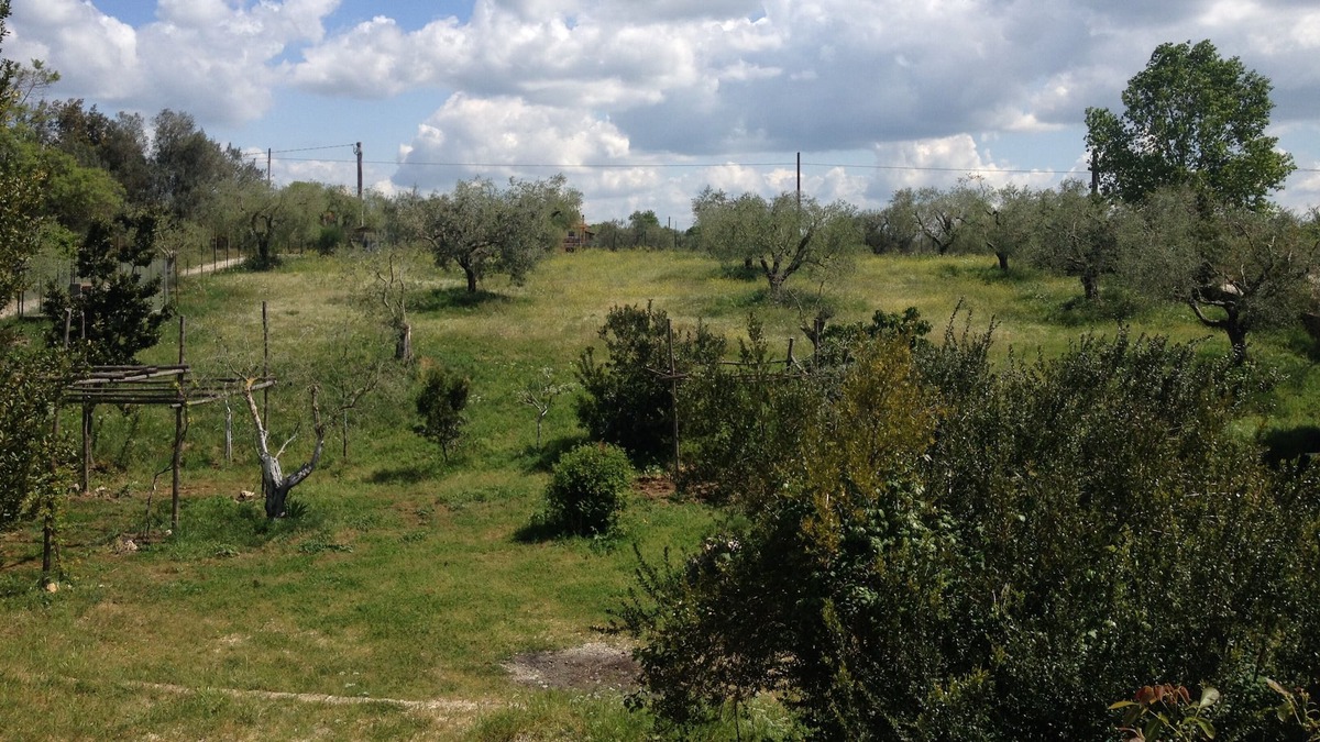 Formello House | Country villa in Formello