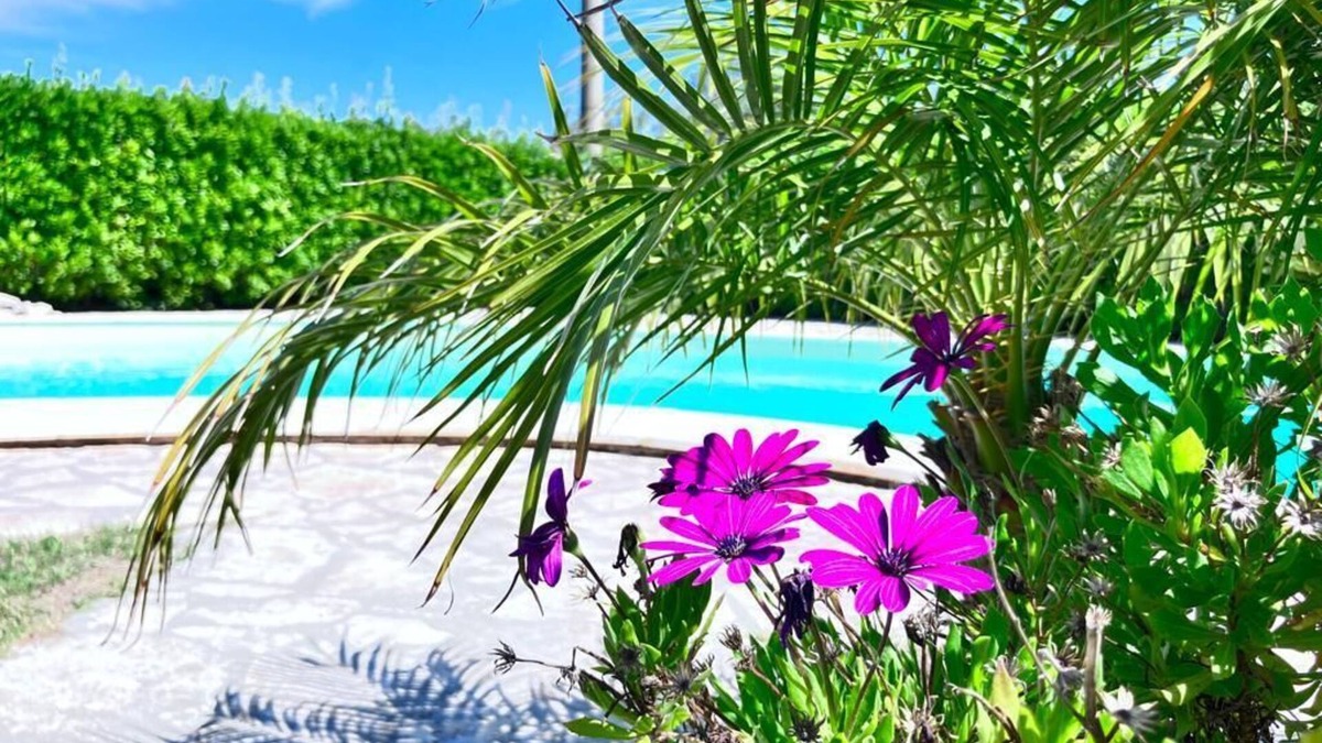 Sorso Villa | Countryside Villa with private pool and sea view