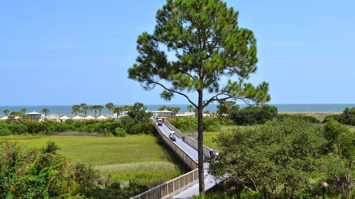 Palmetto Dunes Resort | Courtyard View - 2 Bedroom - Marriott's SurfWatch - Full Resort Access