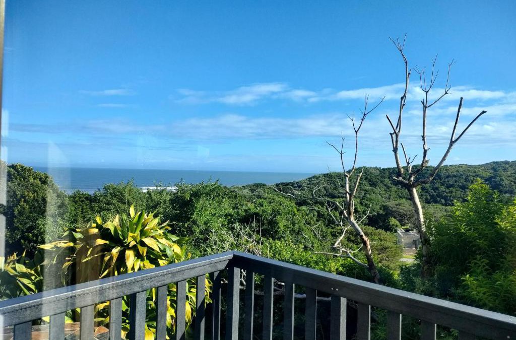 East London House | Cove Rock Stay