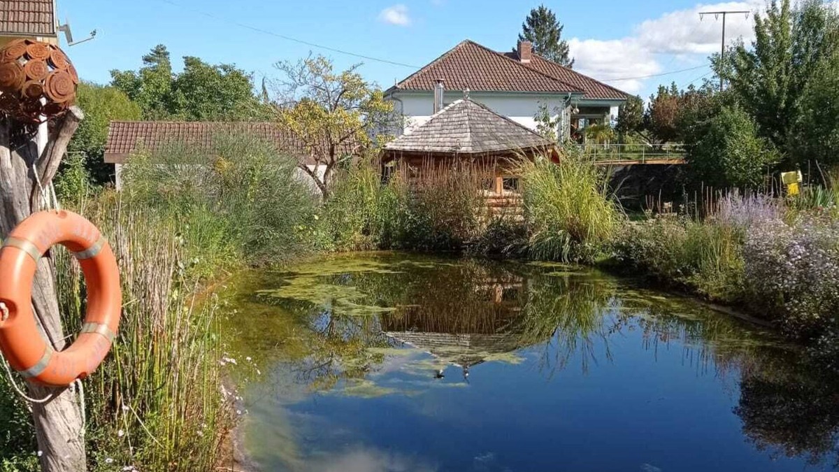 Bad Koenigshofen I. Grabfeld House | Cozy vacation home with swimming pond and large garden