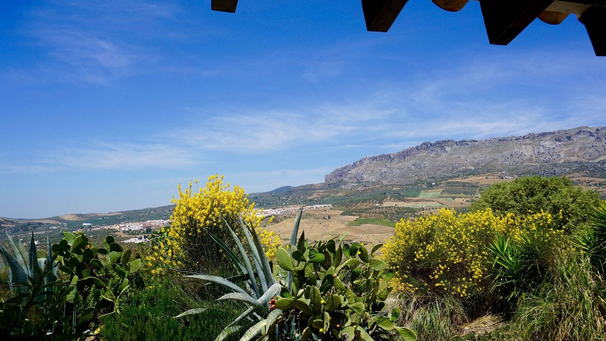 Antequera Cottage | Cozy Cottage on Spanish ranch