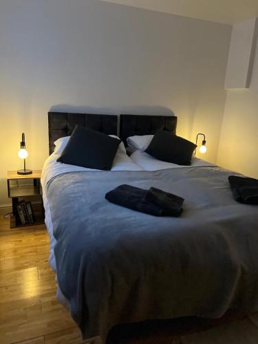 Brondesbury Apartment | Cozy 1 Bedroom Basement Flat