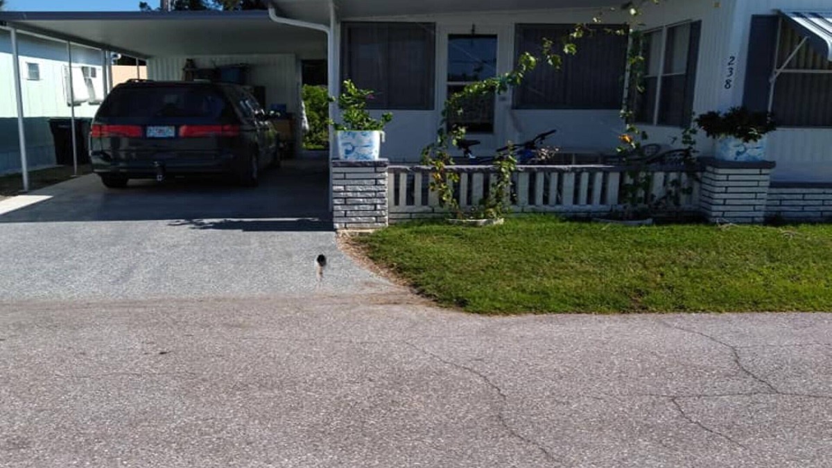 Palmetto House | Cozy 1-bedroom mobile home on rim canal with dock, Palmetto Fla.