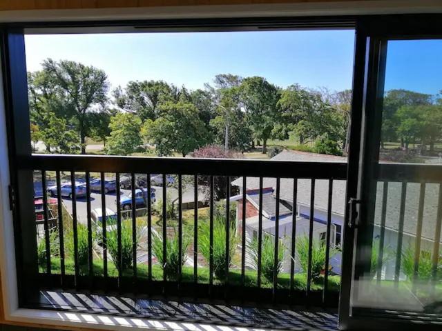 Christchurch City Centre Apartment | Cozy 1BR Apartment with Hagley Park View