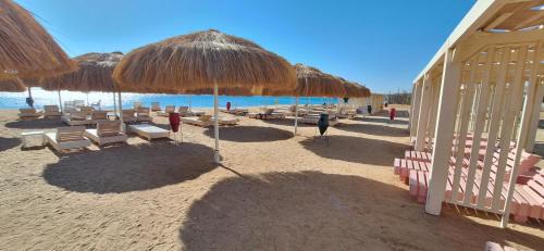 Al Mamsha El Seyahi Apartment | Cozy 1BR in Princess Resort with Pools & Private Beach