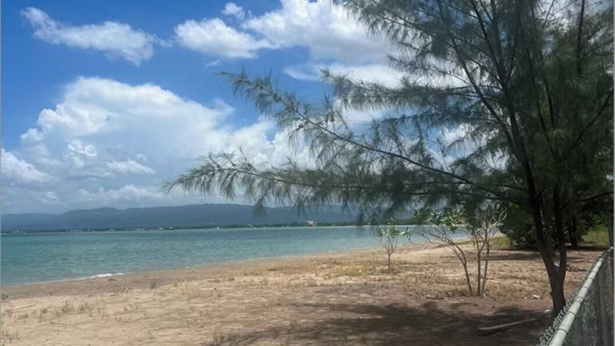 Crane corner Villa | Cozy 2-bedroom 2.5 bathroom villa in Black River with beach in the backyard