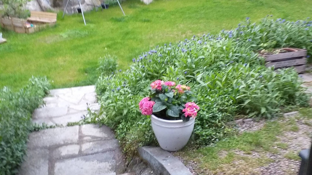 Norrtalje Cottage | Cozy 2-bedroom cottage in Norrtälje, 60 minutes from Stockholm