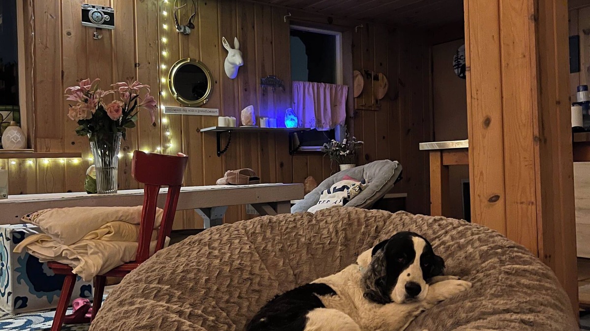 Greenwood Ski Chalet | Cozy 2-bedroom chalet in fantastic Seattle with WiFi