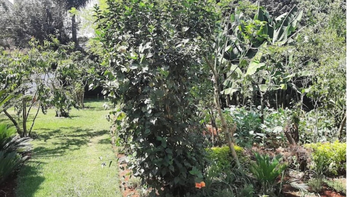 Muthaiga House | Cozy 2 bedroom home in Roslyn Runda with WI-FI