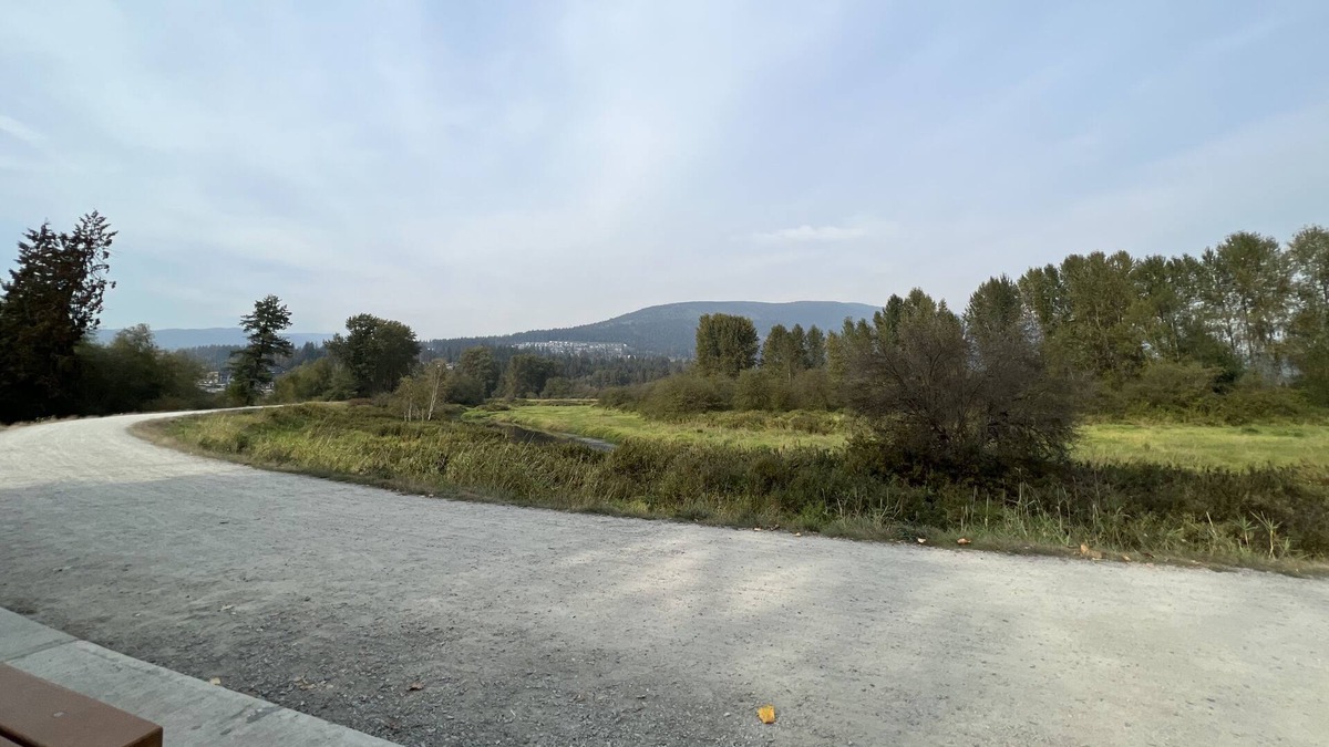 Coquitlam House | Cozy 2 bedroom suite in farmhouse