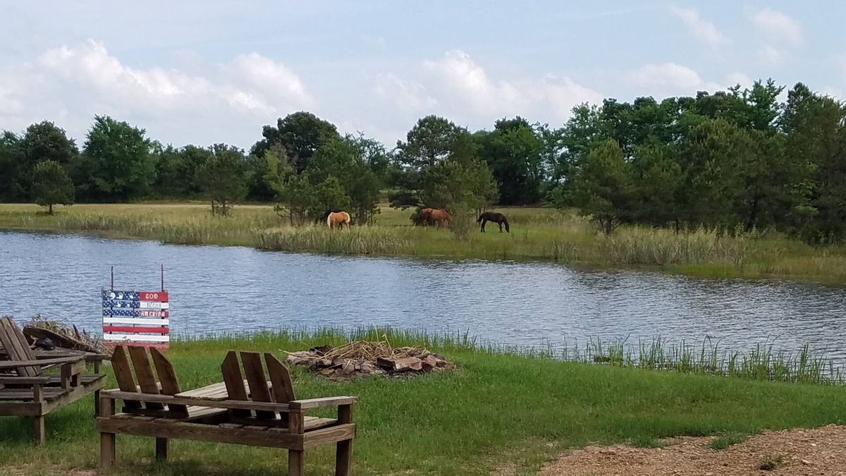 Antlers Cabin | Cozy 2 rm pet friendly cabin- private lake - fishing & swimming - CowboyCabin