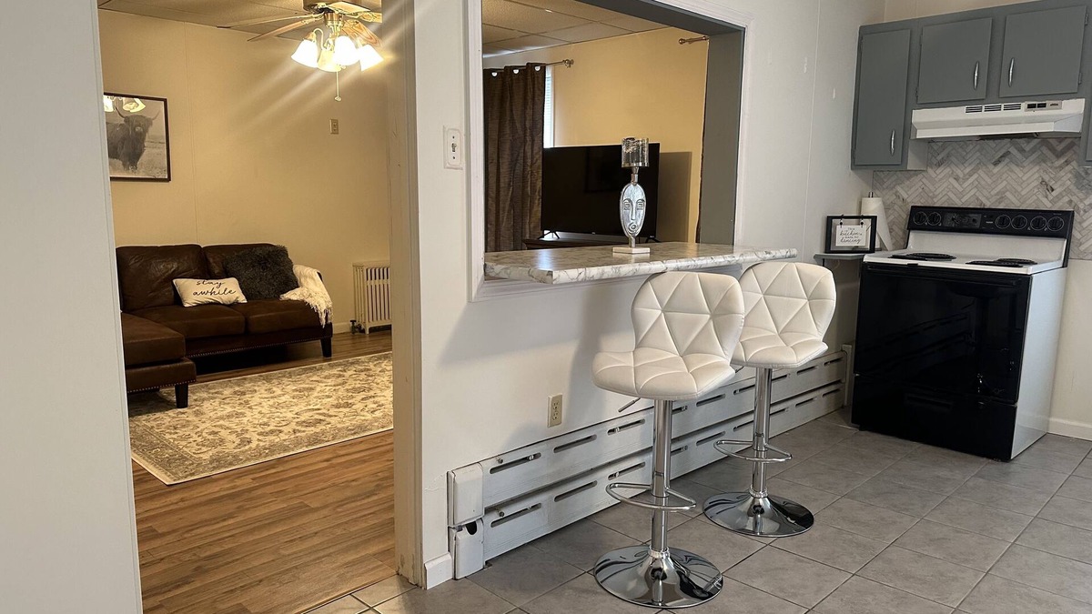 Middleburg Apartment | Cozy 2nd floor brick apartment. Walking distance -Charles Park, pond & dog park