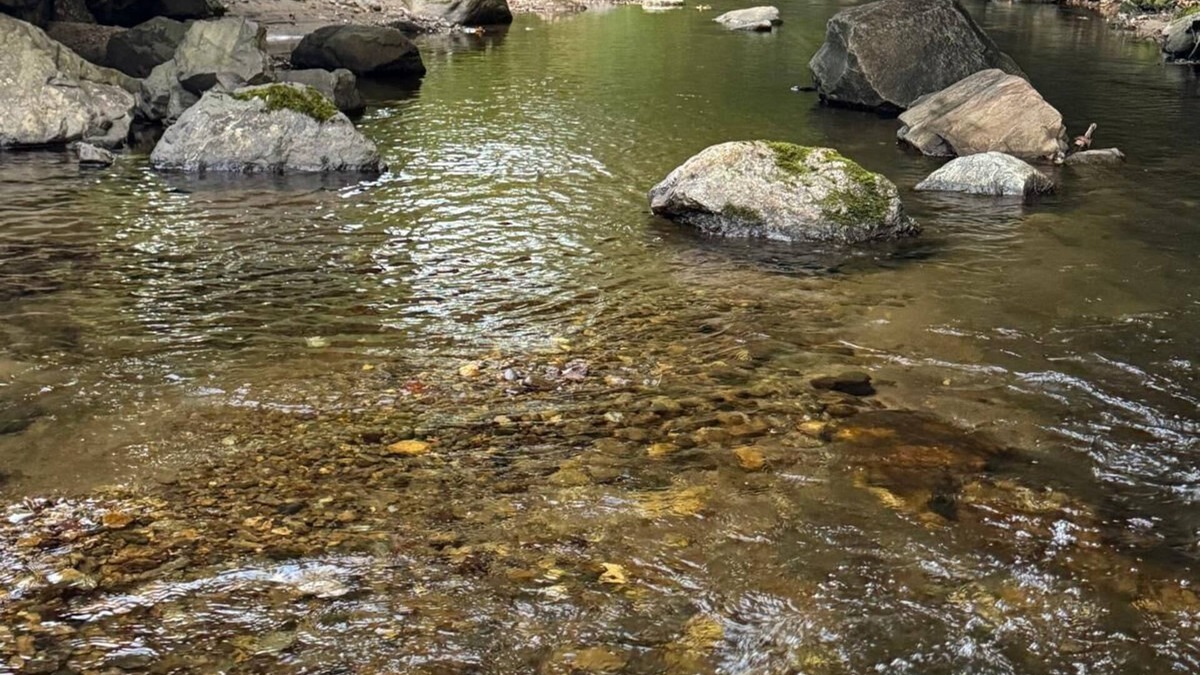 Woodbury Cabin | Cozy 3-bedroom cabin in Woodbury. With Brook and mountain to enjoy.