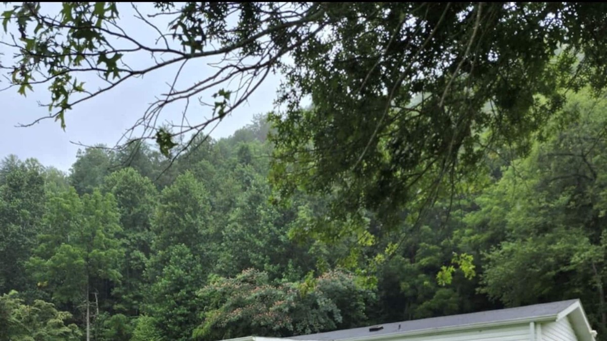 Ferguson House | Cozy and Affordable 3 Bed Room Home in the Mountains