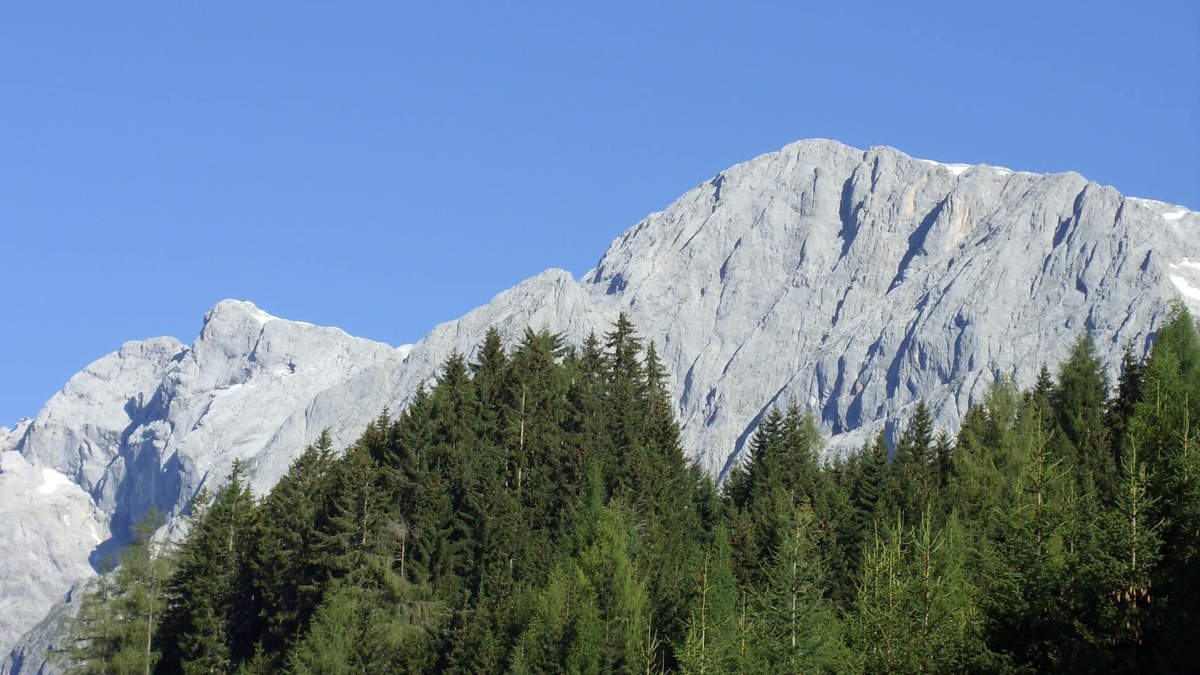 Muehlbach Am Hochkoenig Apartment | Cozy and quiet apartment with a dream view