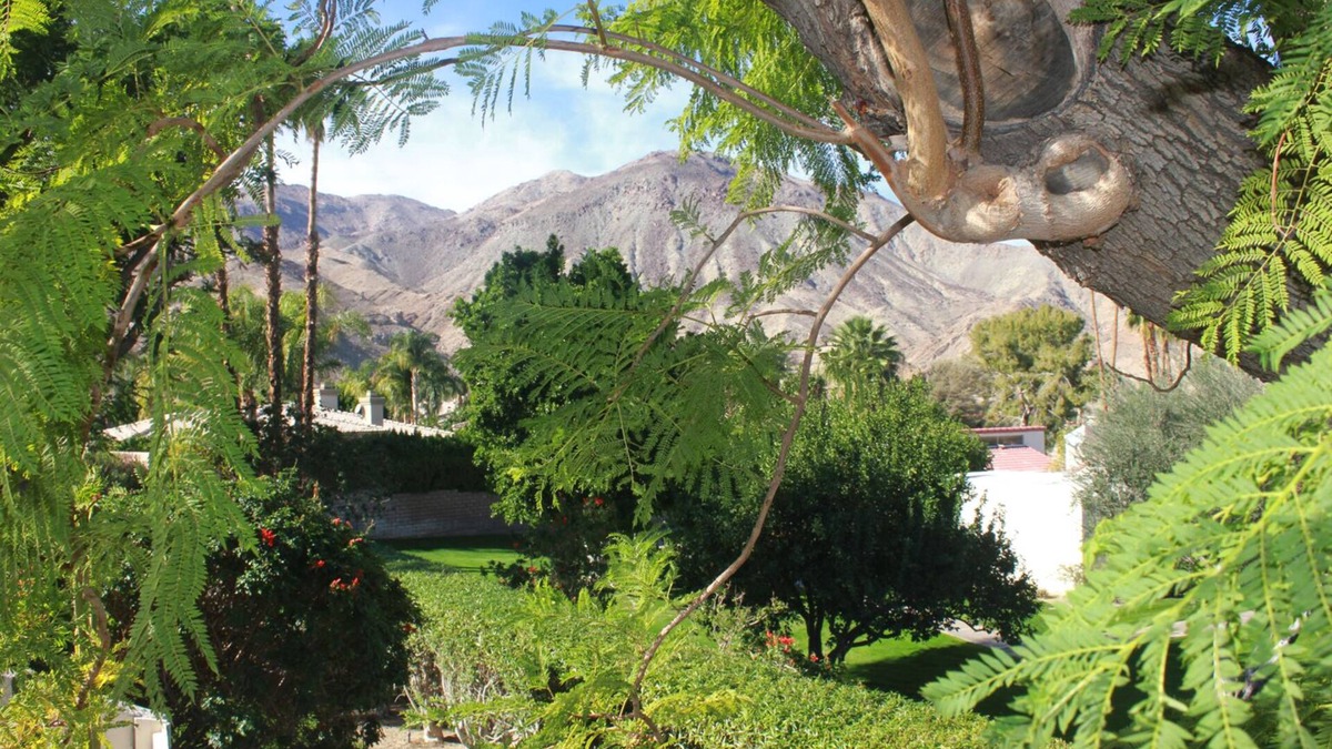 Palm Desert Condo | Cozy and Clean Kings Court Hideaway!