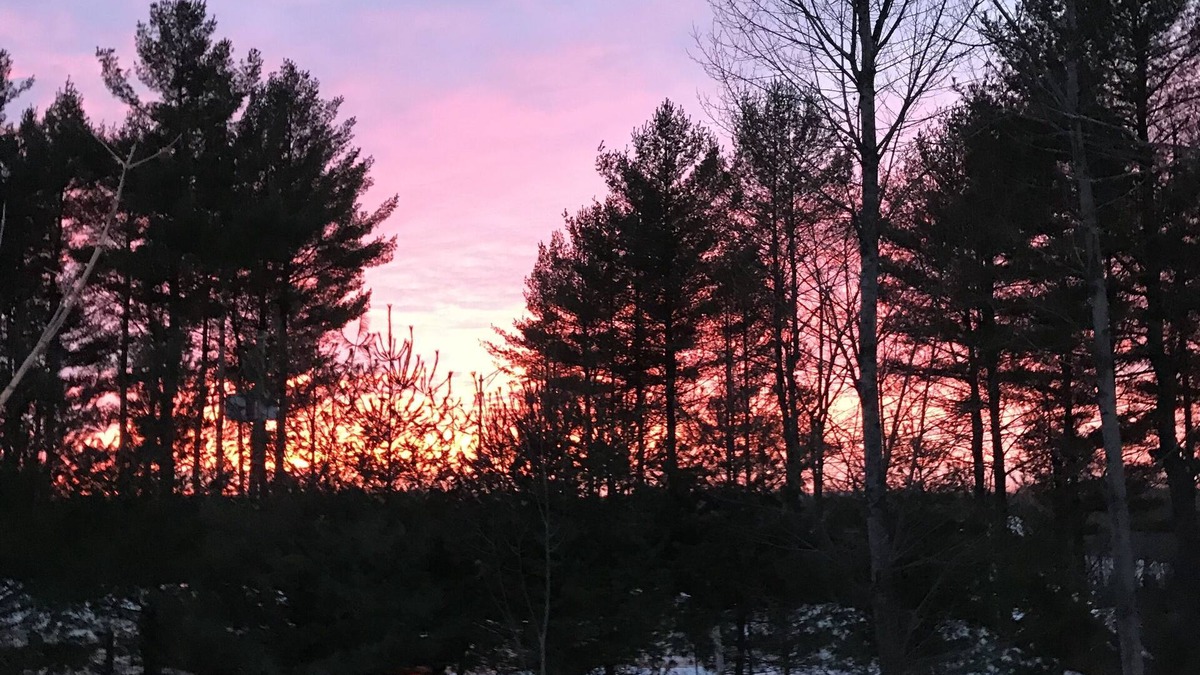 Papineau Regional County Municipality Cottage | Cozy and secluded cottage on a private road. 7 minutes from all amenities.