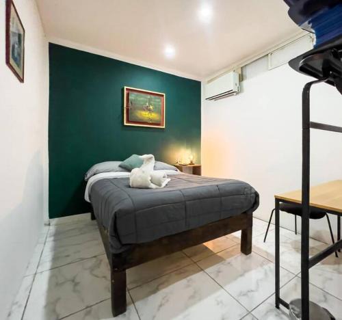 San Luis Potosi Apartment | Cozy Apartment 10 min from downtown