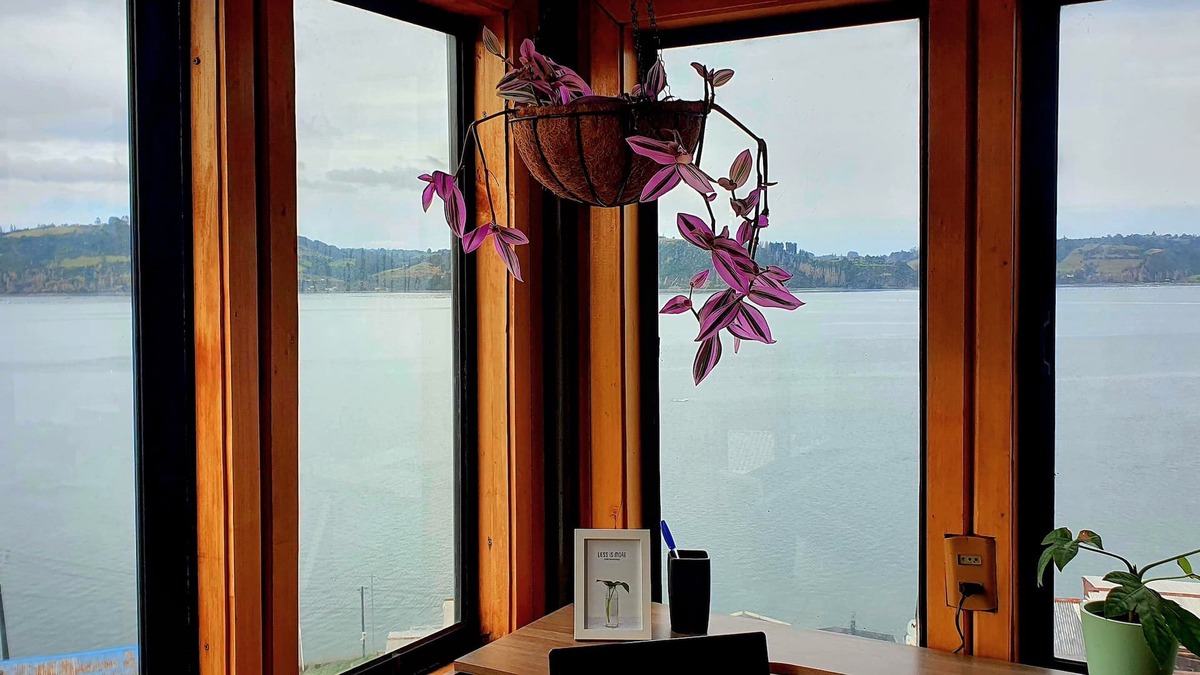Castro Apartment | Cozy apartment, 5 min walk to the waterfront, port, downtown, restaurants, bars